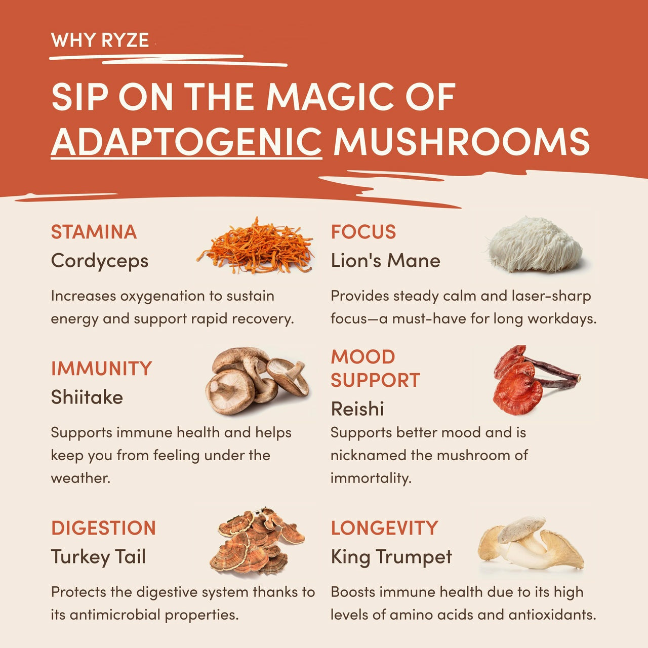 Mushroom Coffee 30 Servings